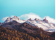 CBA全明星赛星锐赛 星锐队战胜大学生联队